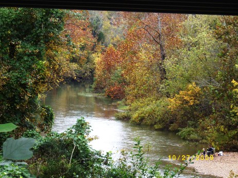 Fall pictures 2009 011